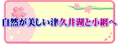 自然が美しい津久井湖と小網へ